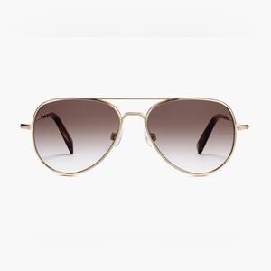 Warby Parker Raider Sunglasses Polished Gold